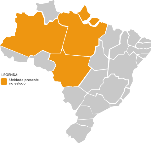 Mapa do Brasil - Estados onde a Call Service está presente
